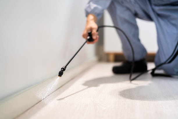 Licensed Mosquito Control service in Bamberg, SC - Show Me Pest Control