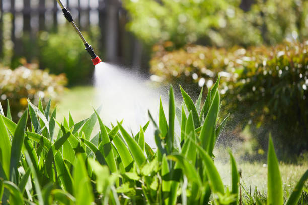 24/7 Emergency Mosquito Control experts in Bamberg, SC