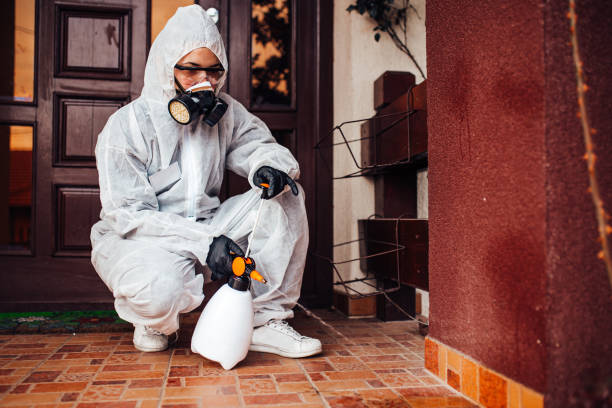 Reliable Mosquito Control contractor in Bamberg, SC by Show Me Pest Control