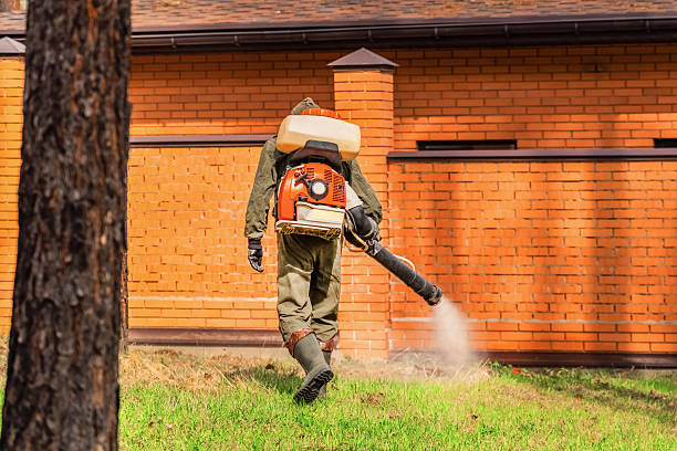 Top rated local Mosquito Control specialists in Bamberg, SC